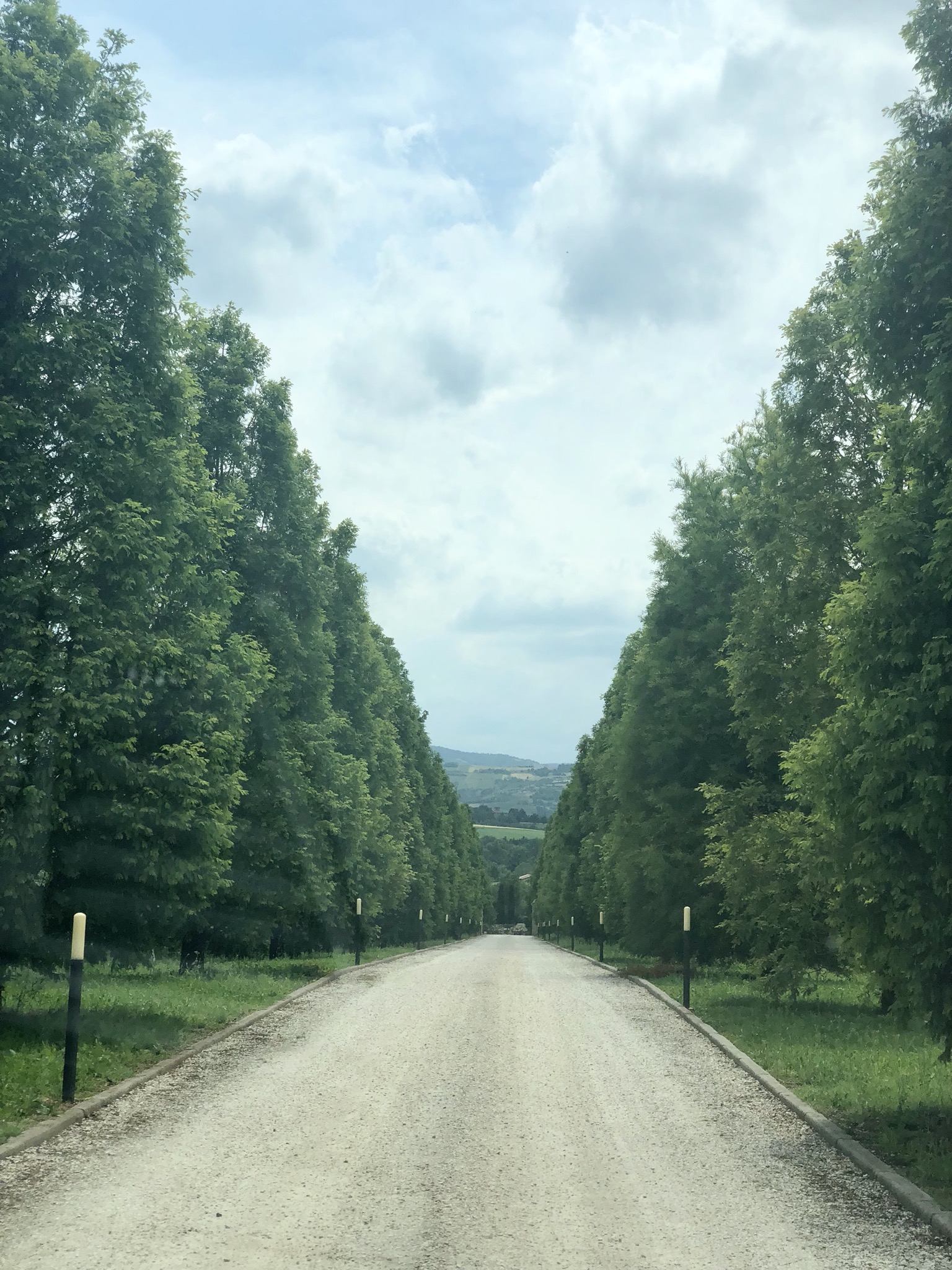 Our Magical Stay at La Vedetta, An Italian Countryside Bed and Breakfast near the Lamborghini Factory